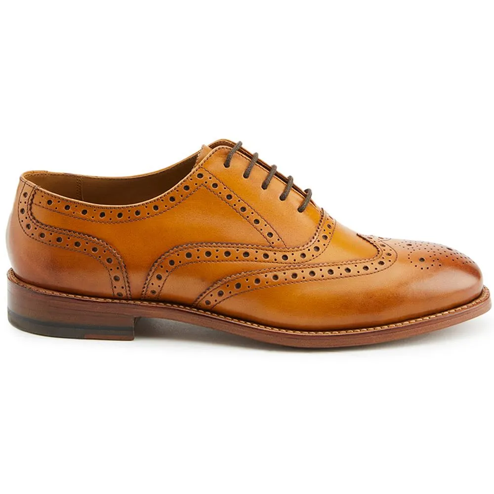 Braxton Leather Brogues  - BRAXTON / 326 034