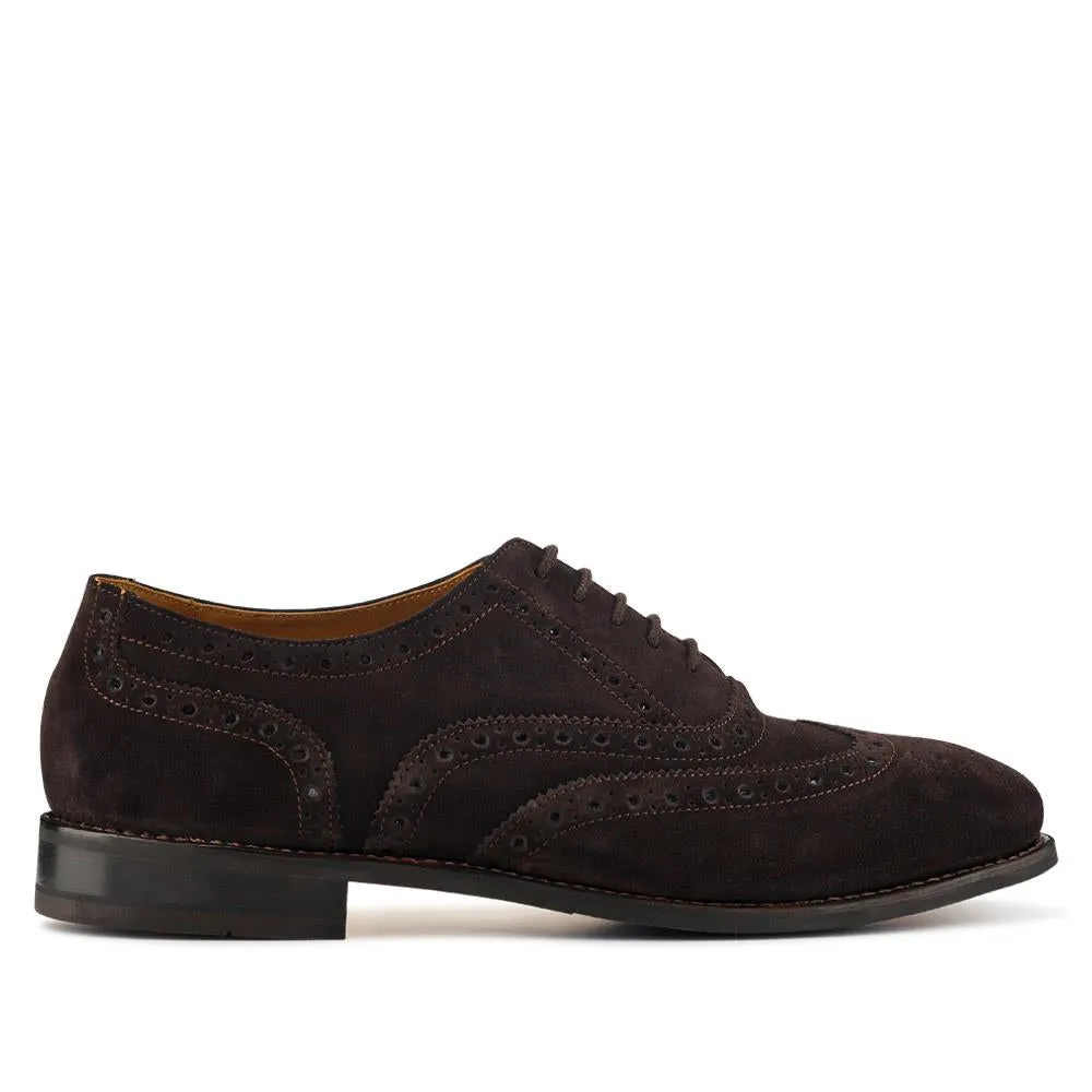 Braxton Leather Brogues  - BRAXTON / 326 034